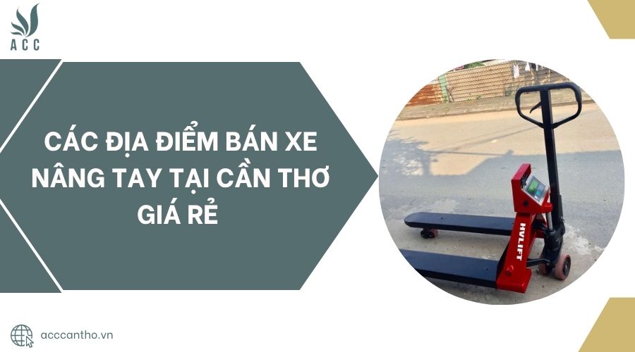 Các địa điểm bán xe nâng tay tại Cần Thơ giá rẻ 