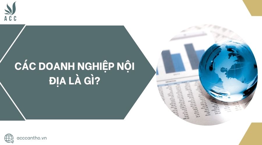 Các doanh nghiệp nội địa là gì?