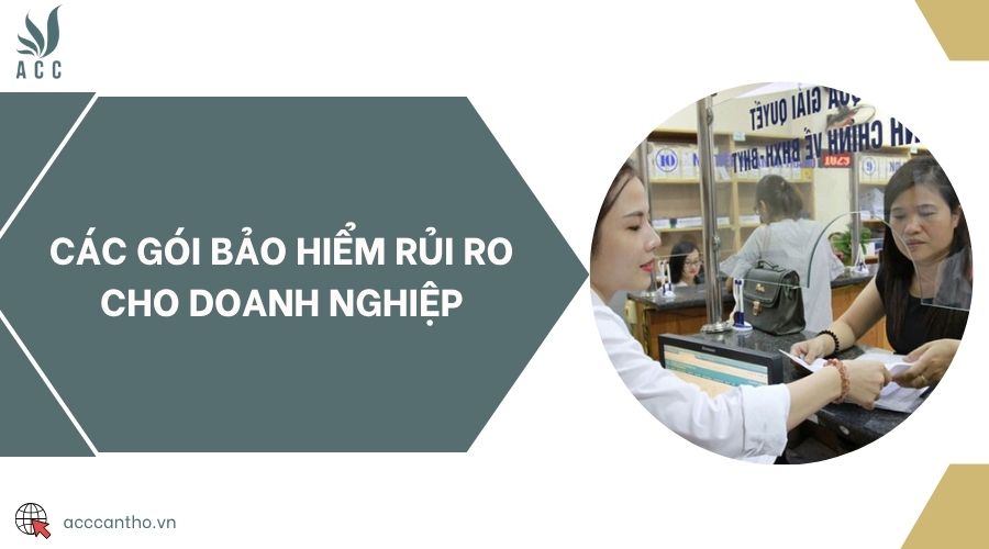 Các gói bảo hiểm rủi ro cho doanh nghiệp