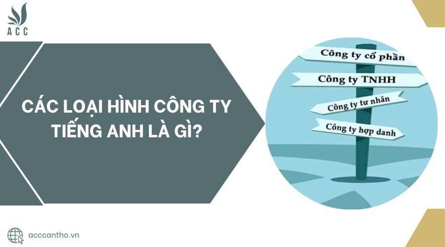 Các loại hình công ty tiếng Anh là gì?