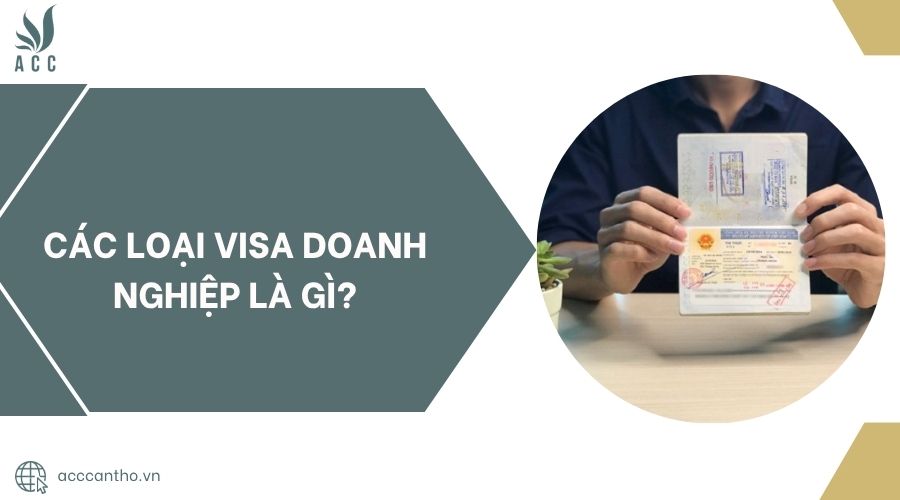 Các loại visa doanh nghiệp là gì?
