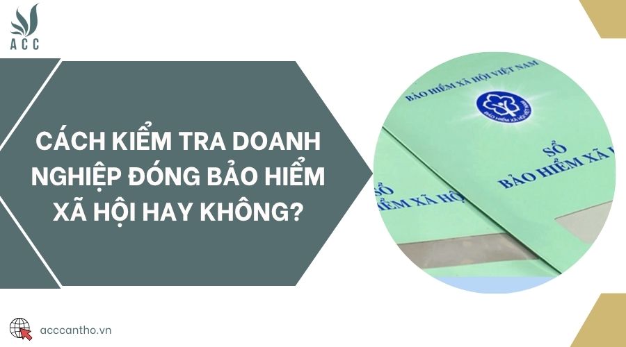 Cách kiểm tra doanh nghiệp đóng bảo hiểm xã hội hay không?