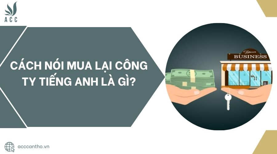 Cách nói mua lại công ty tiếng Anh là gì?