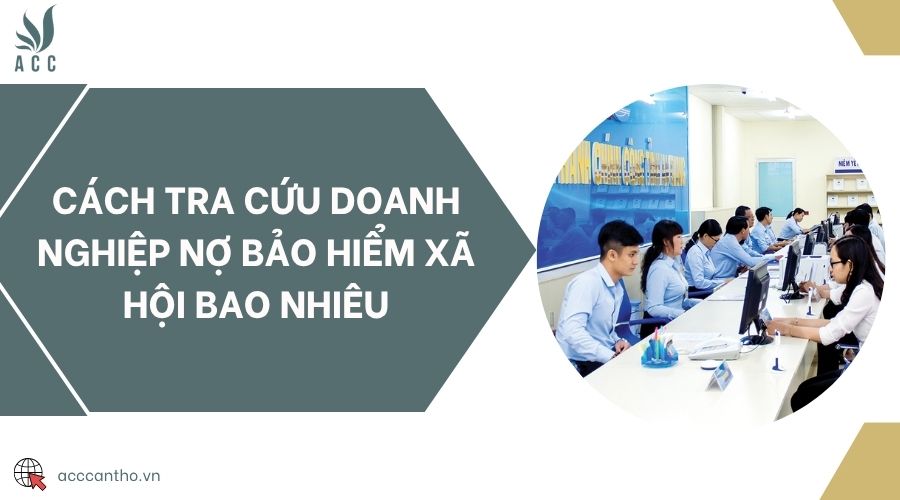 Cách tra cứu doanh nghiệp nợ bảo hiểm xã hội bao nhiêu