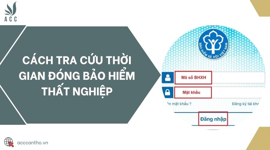 Cách tra cứu thời gian đóng bảo hiểm thất nghiệp