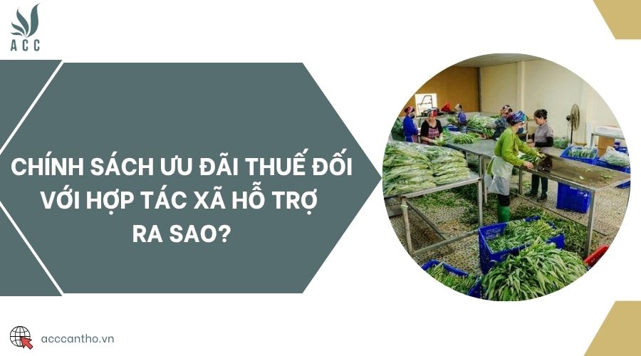 Chính sách ưu đãi thuế đối với hợp tác xã hỗ trợ ra sao?