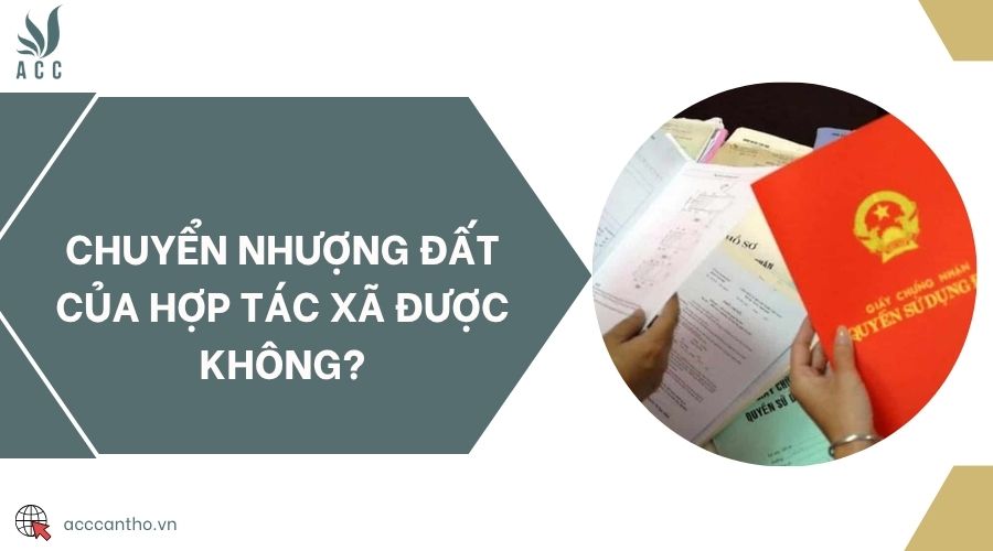 Chuyển nhượng đất của hợp tác xã được không?