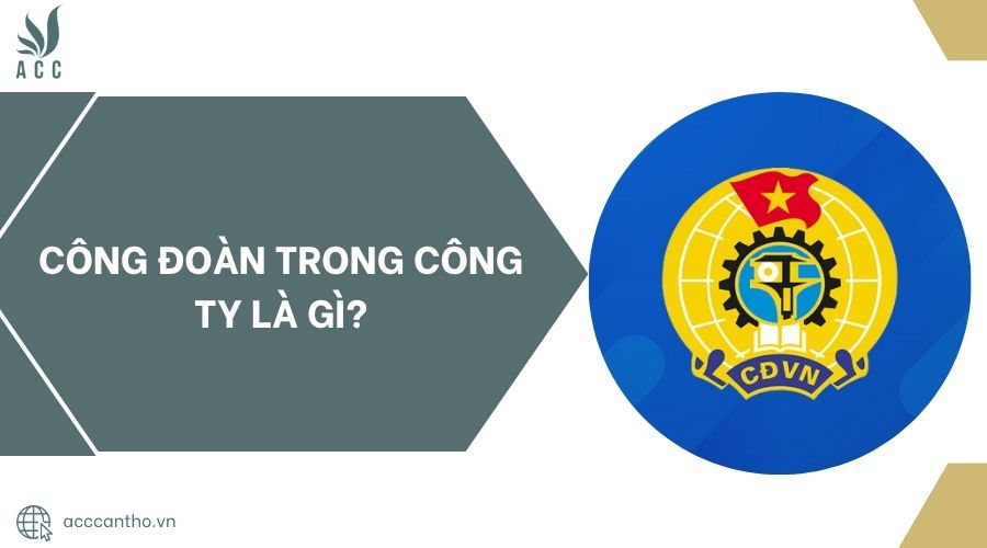 Công đoàn trong công ty là gì?