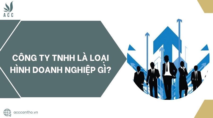 Công ty TNHH là loại hình doanh nghiệp gì?