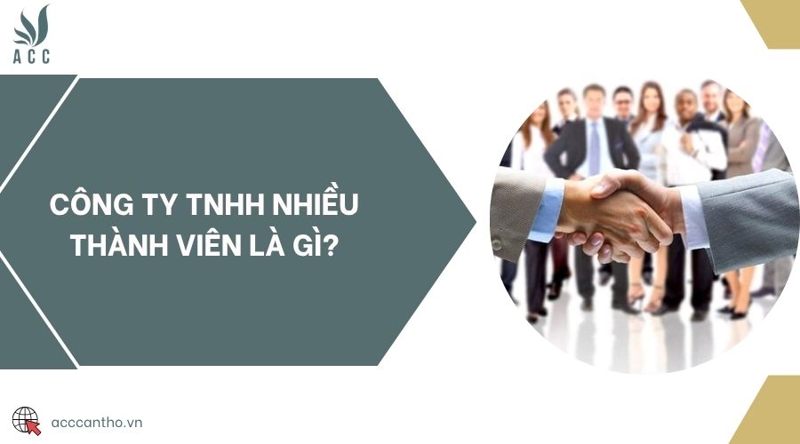 Công ty TNHH nhiều thành viên là gì?