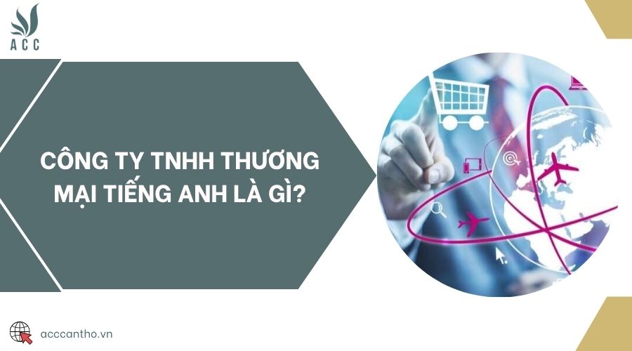 Công ty TNHH thương mại tiếng anh là gì?