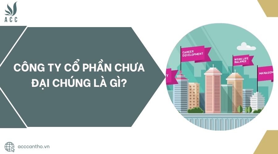 Công ty cổ phần chưa đại chúng là gì?