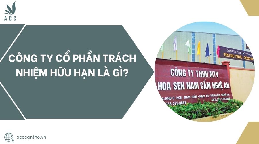 Công ty cổ phần trách nhiệm hữu hạn là gì?
