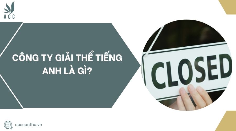 Công ty giải thể tiếng Anh là gì?