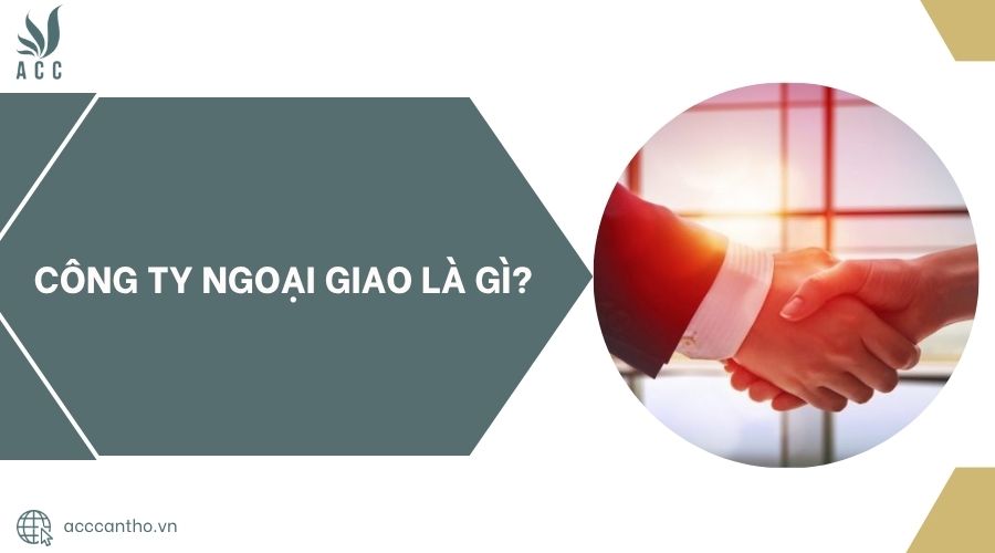 Công ty ngoại giao là gì?