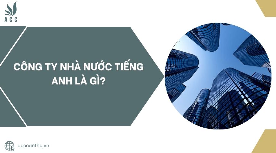 Công ty nhà nước tiếng Anh là gì?