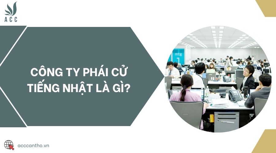 Công ty phái cử tiếng Nhật là gì?