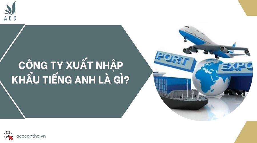 Công ty xuất nhập khẩu tiếng Anh là gì?