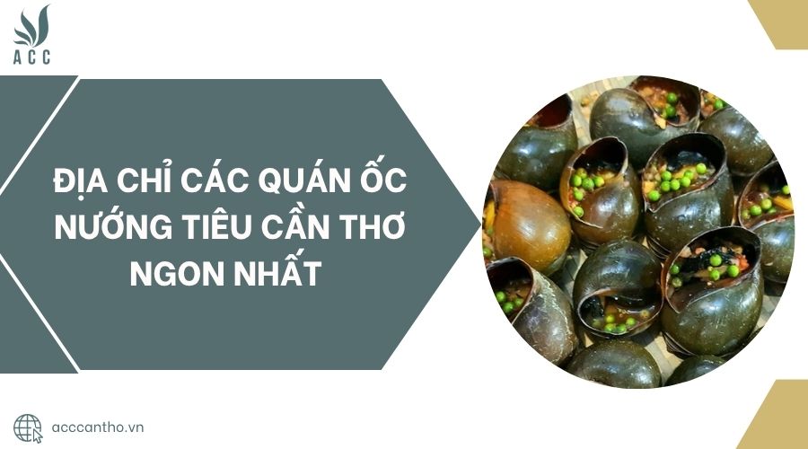 Địa chỉ các quán ốc nướng tiêu Cần Thơ ngon nhất 