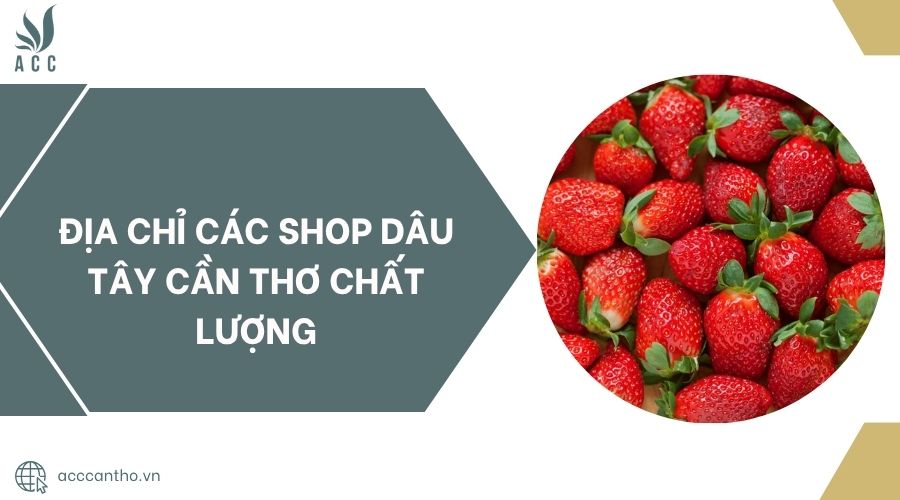 Địa chỉ các shop dâu tây Cần Thơ chất lượng
