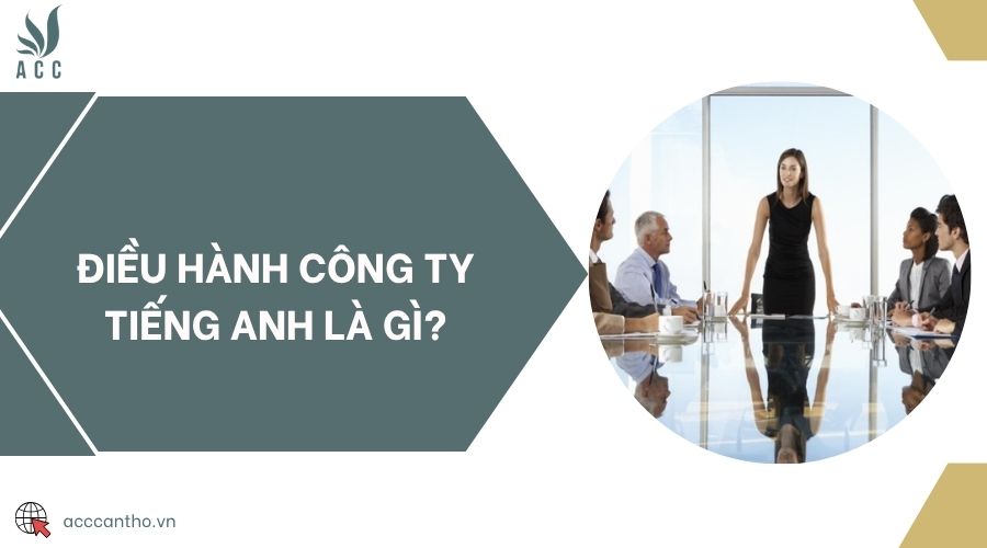 Điều hành công ty tiếng Anh là gì?