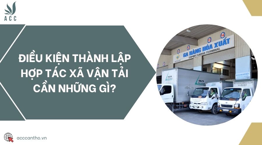 Điều kiện thành lập hợp tác xã vận tải cần những gì?