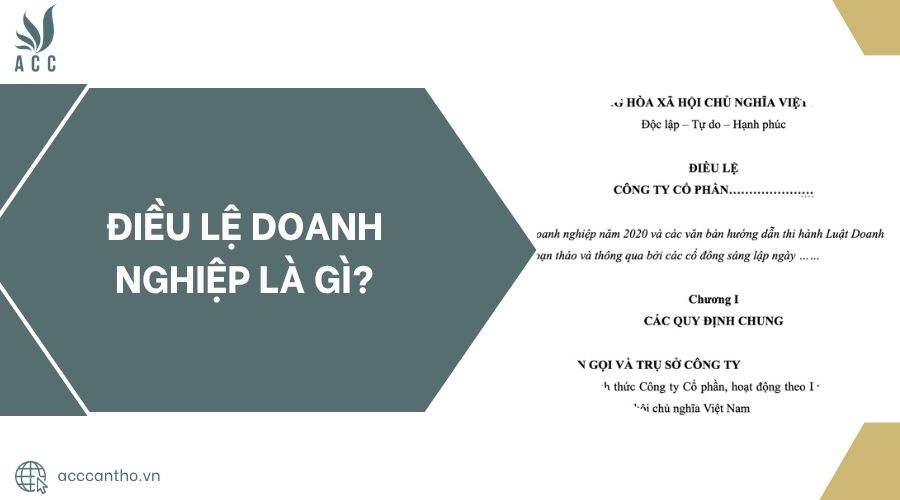 Điều lệ doanh nghiệp là gì?