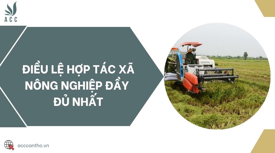 Điều lệ hợp tác xã nông nghiệp đầy đủ nhất