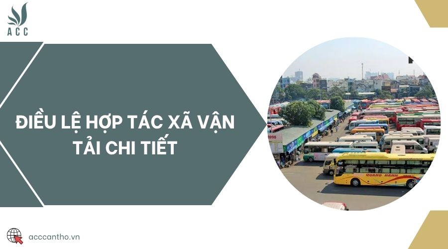 Điều lệ hợp tác xã vận tải chi tiết