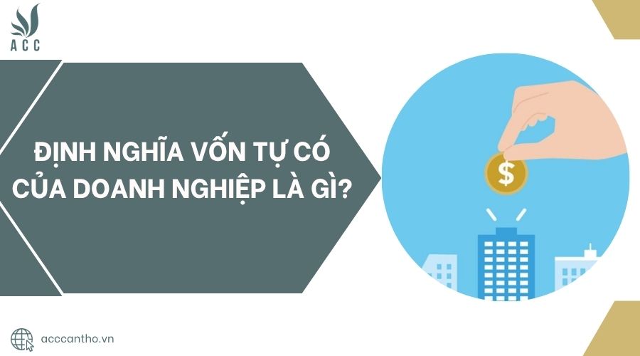 Định nghĩa vốn tự có của doanh nghiệp là gì?