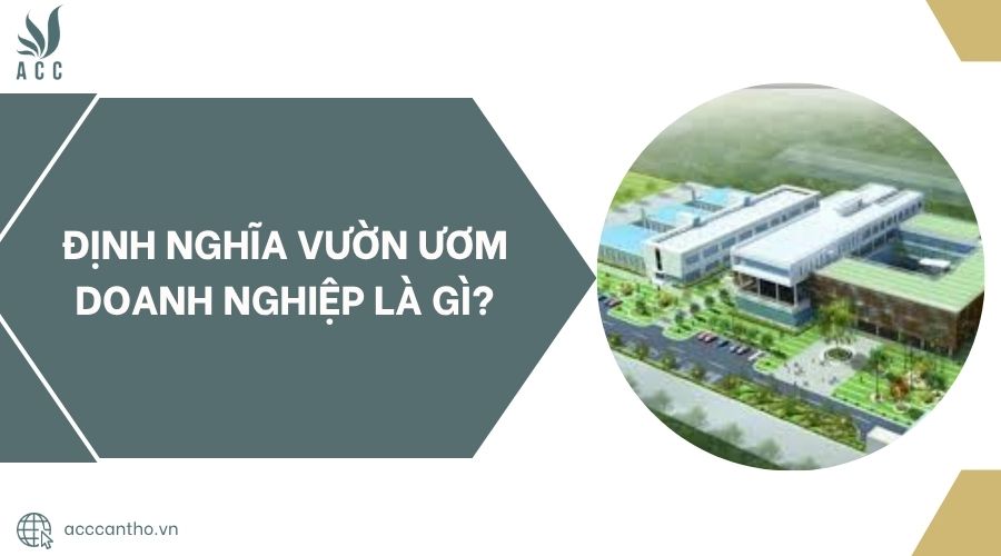 Định nghĩa vườn ươm doanh nghiệp là gì?