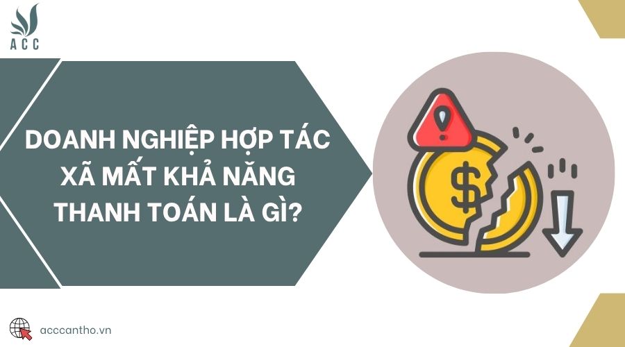 Doanh nghiệp hợp tác xã mất khả năng thanh toán là gì?
