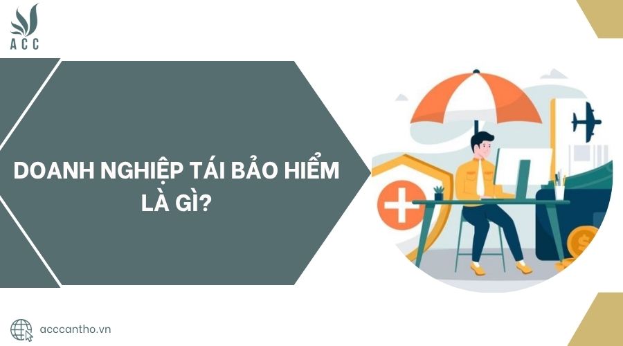 Doanh nghiệp tái bảo hiểm là gì?