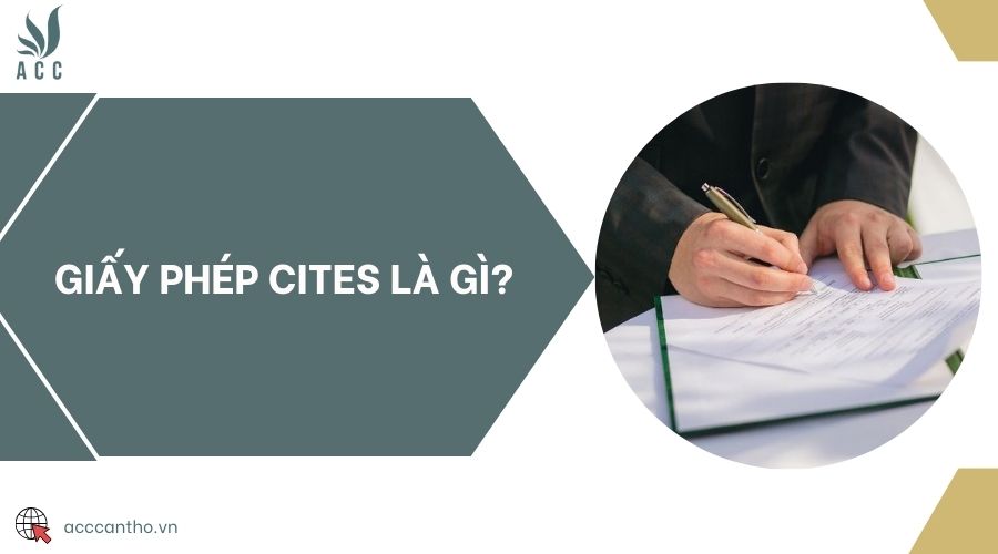 fv88 CITES là gì?