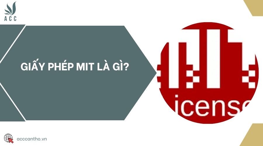 fv88 MIT là gì?