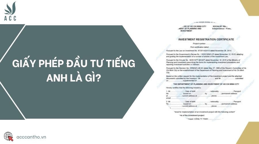 fv88 đầu tư tiếng Anh là gì?