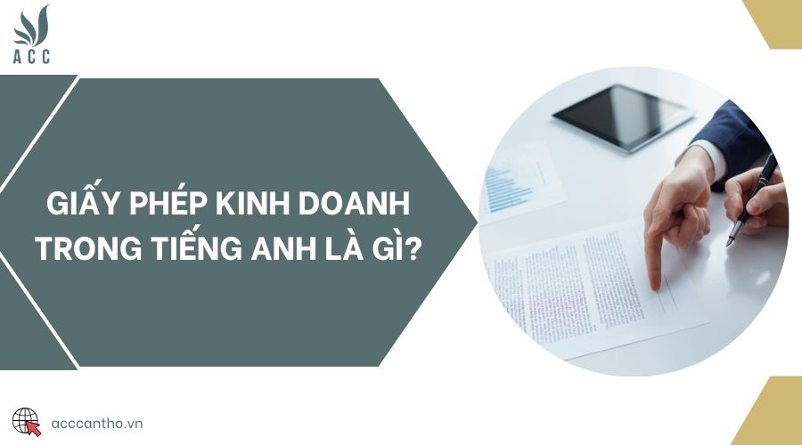 fv88 fv888 trong tiếng Anh là gì?