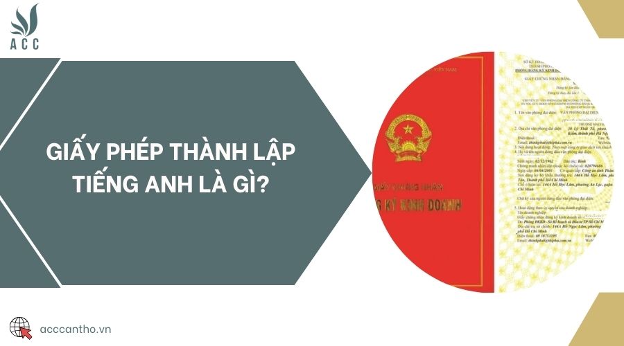 fv88 thành lập tiếng Anh là gì?