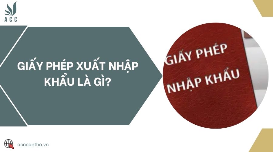 fv88 xuất nhập khẩu là gì?