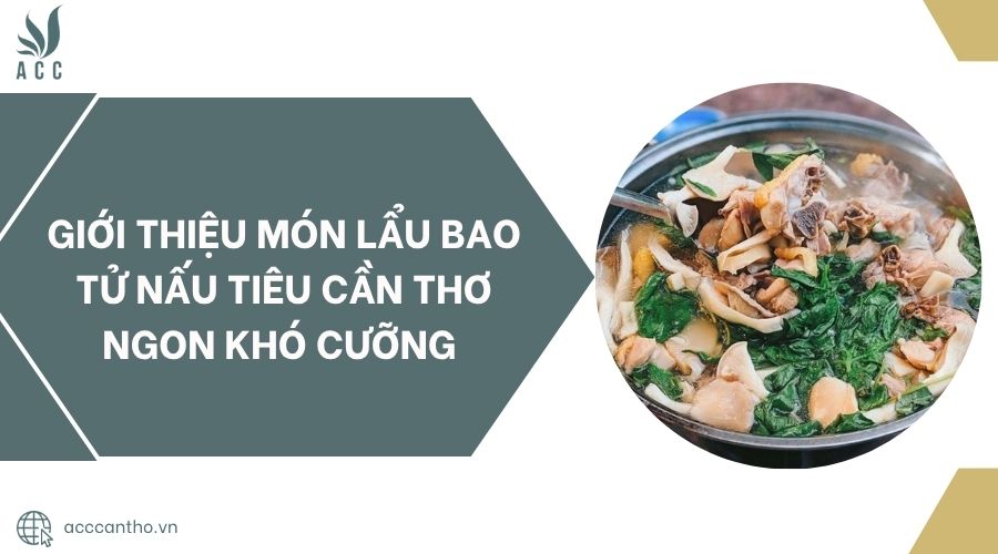 Giới thiệu món lẩu bao tử nấu tiêu Cần Thơ ngon khó cưỡng 