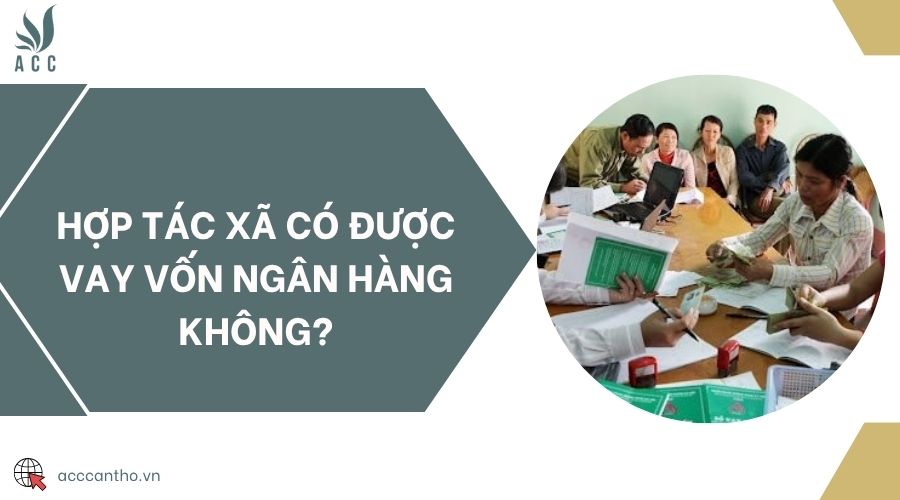 Hợp tác xã có được vay vốn ngân hàng không?
