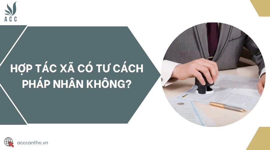 Hợp tác xã có tư cách pháp nhân không?