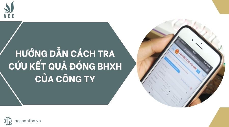 Hướng dẫn cách tra cứu kết quả đóng BHXH của công ty