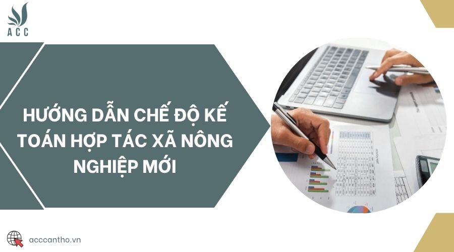 Hướng dẫn chế độ kế toán hợp tác xã nông nghiệp mới