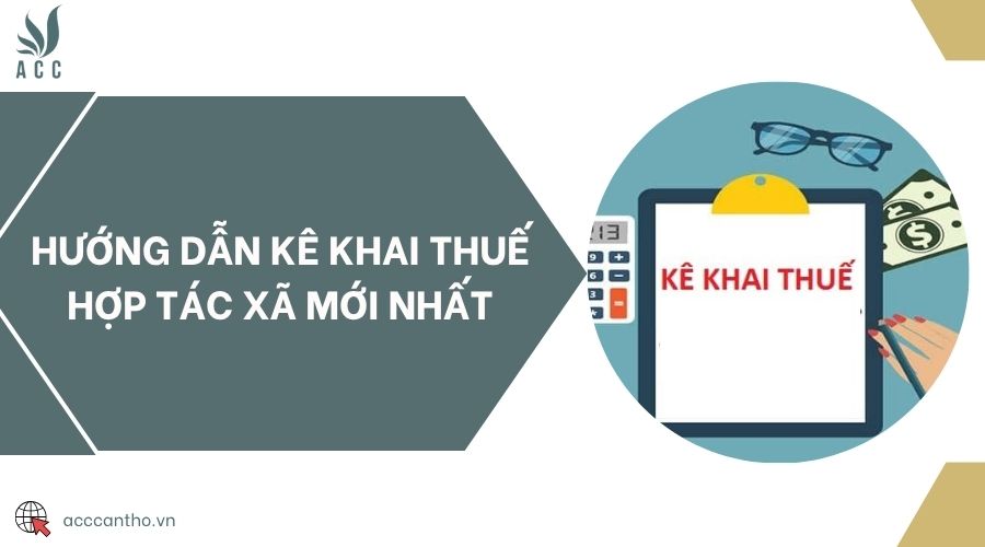 Hướng dẫn kê khai thuế hợp tác xã mới nhất