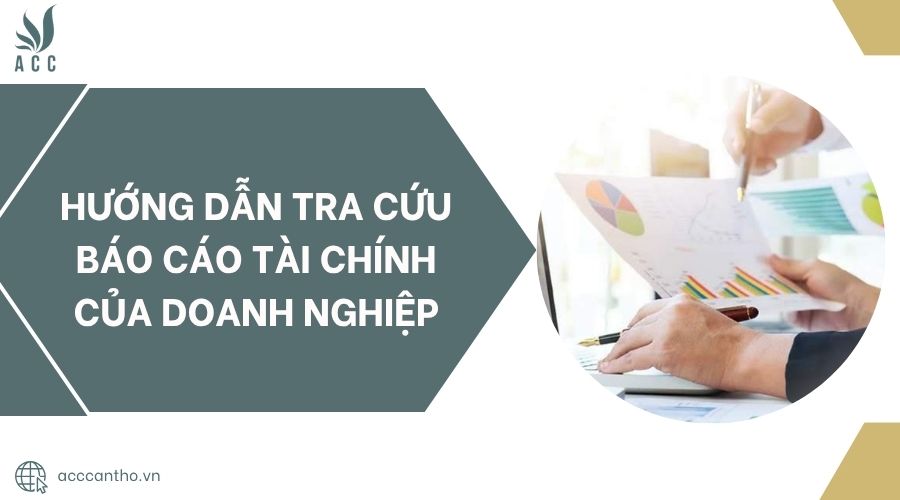 Hướng dẫn tra cứu báo cáo tài chính của doanh nghiệp