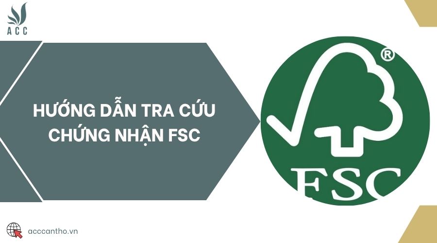 Hướng dẫn tra cứu chứng nhận FSC
