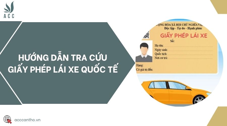Hướng dẫn tra cứu giấy phép lái xe quốc tế