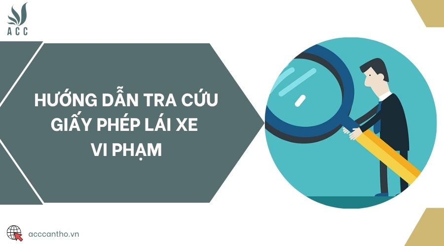 Hướng dẫn tra cứu giấy phép lái xe vi phạm