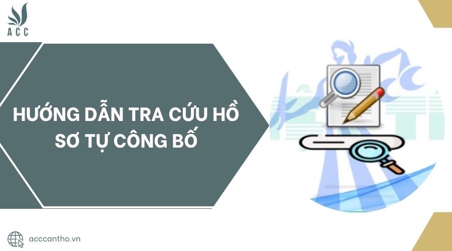 Hướng dẫn tra cứu hồ sơ tự công bố